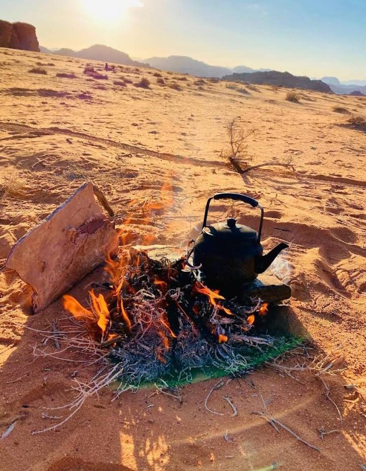 Joy To Wadi Campsite Wadi Rum