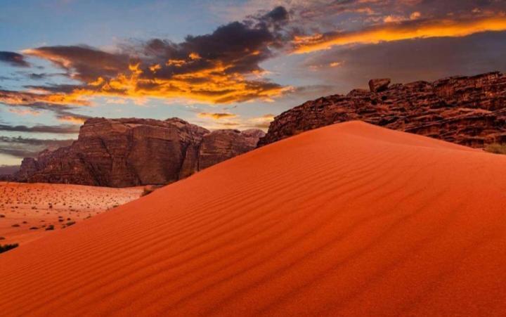 Joy To Wadi Wadi Rum